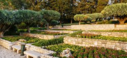 שמורת הנדיב וגני הנדיב | Ramat Hanadiv